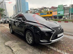 Xe Lexus RX 350 2022