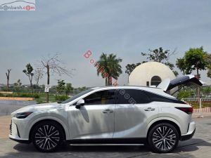 Xe Lexus RX 350 Premium 2024